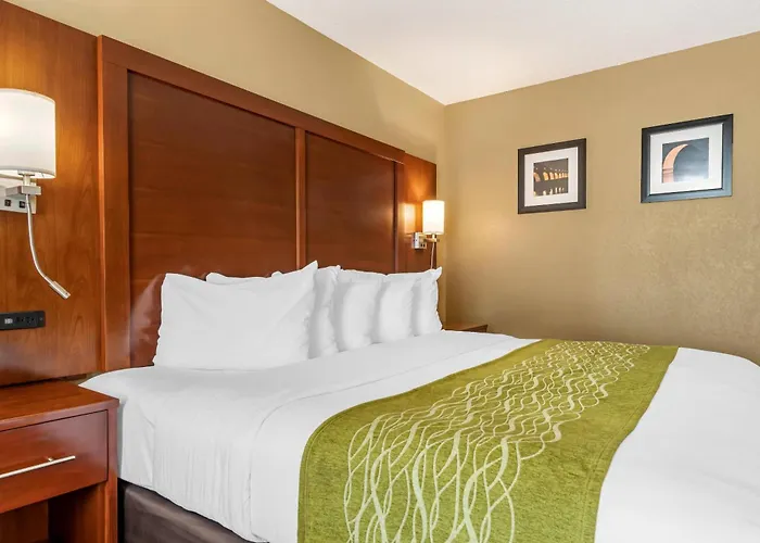 Comfort Msp Airport - Mall Of America 4*