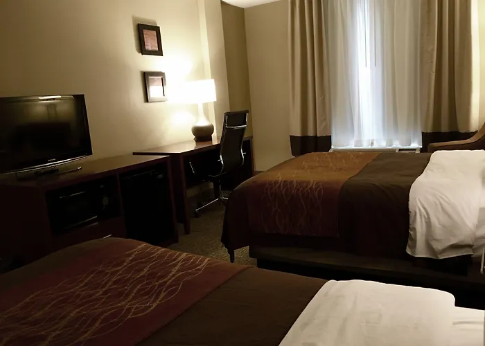 Comfort Msp Airport - Mall Of America Inn Bloomington