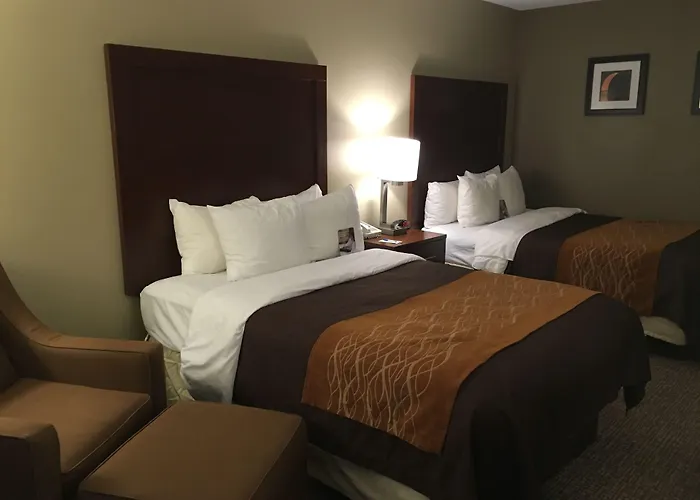 Comfort Msp Airport - Mall Of America 4* Bloomington