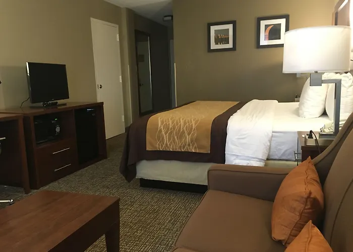 Inn Comfort Msp Airport - Mall Of America