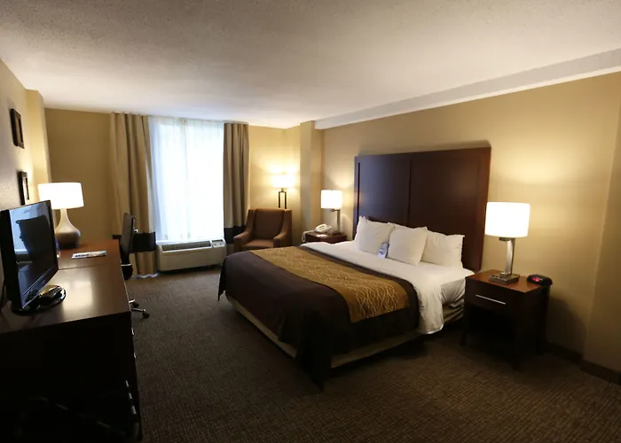 Inn Comfort Msp Airport - Mall Of America Bloomington