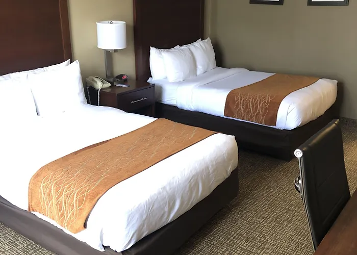 Comfort Msp Airport - Mall Of America Inn