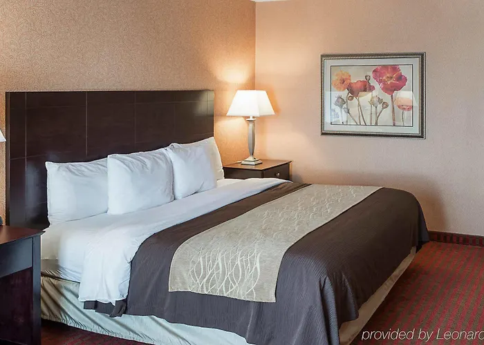 Comfort Msp Airport - Mall Of America Inn 4*
