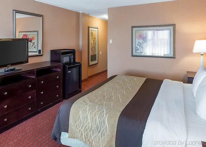 Comfort Msp Airport - Mall Of America Inn Bloomington
