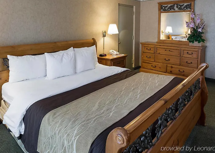 Comfort Msp Airport - Mall Of America 4* Bloomington
