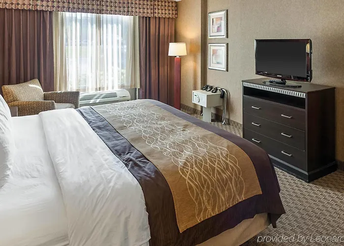 Comfort Msp Airport - Mall Of America Inn